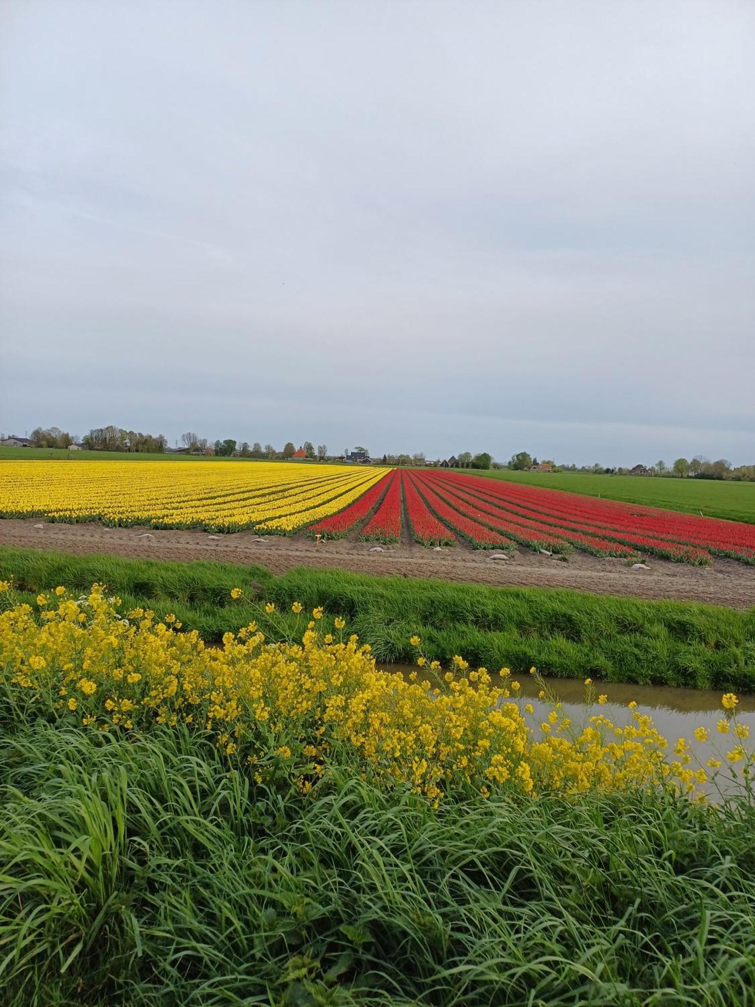 Kota Wadway Vila Spanbroek Exterior foto