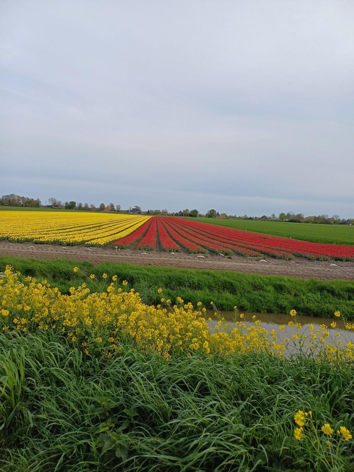 Kota Wadway Vila Spanbroek Exterior foto
