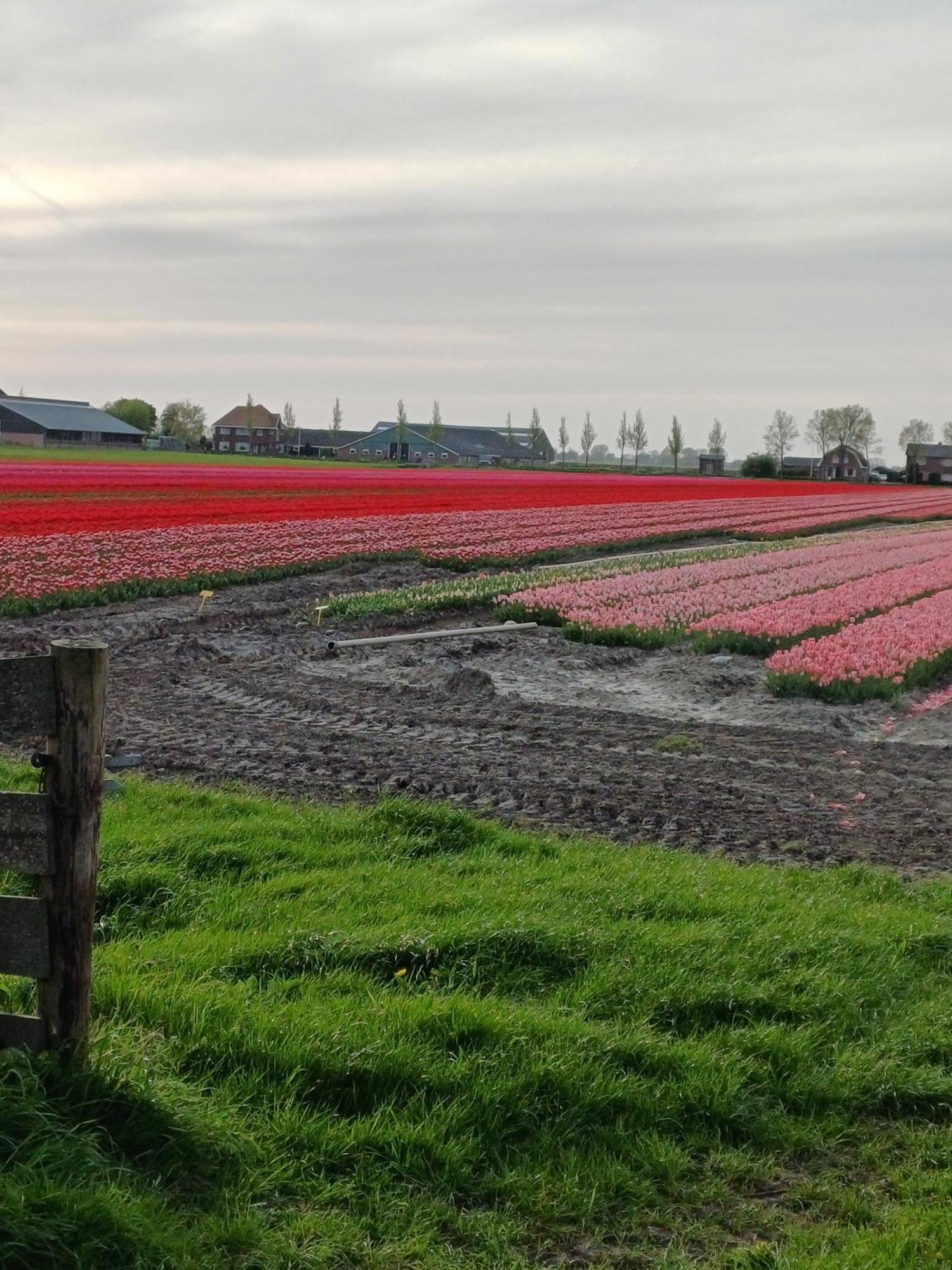 Kota Wadway Vila Spanbroek Exterior foto