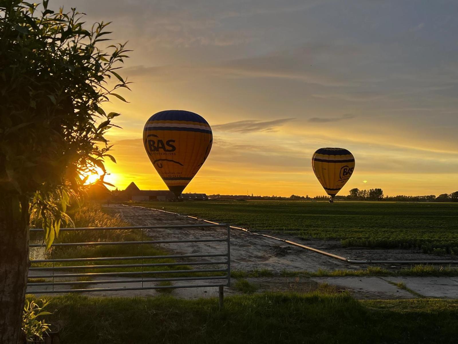 Kota Wadway Vila Spanbroek Exterior foto