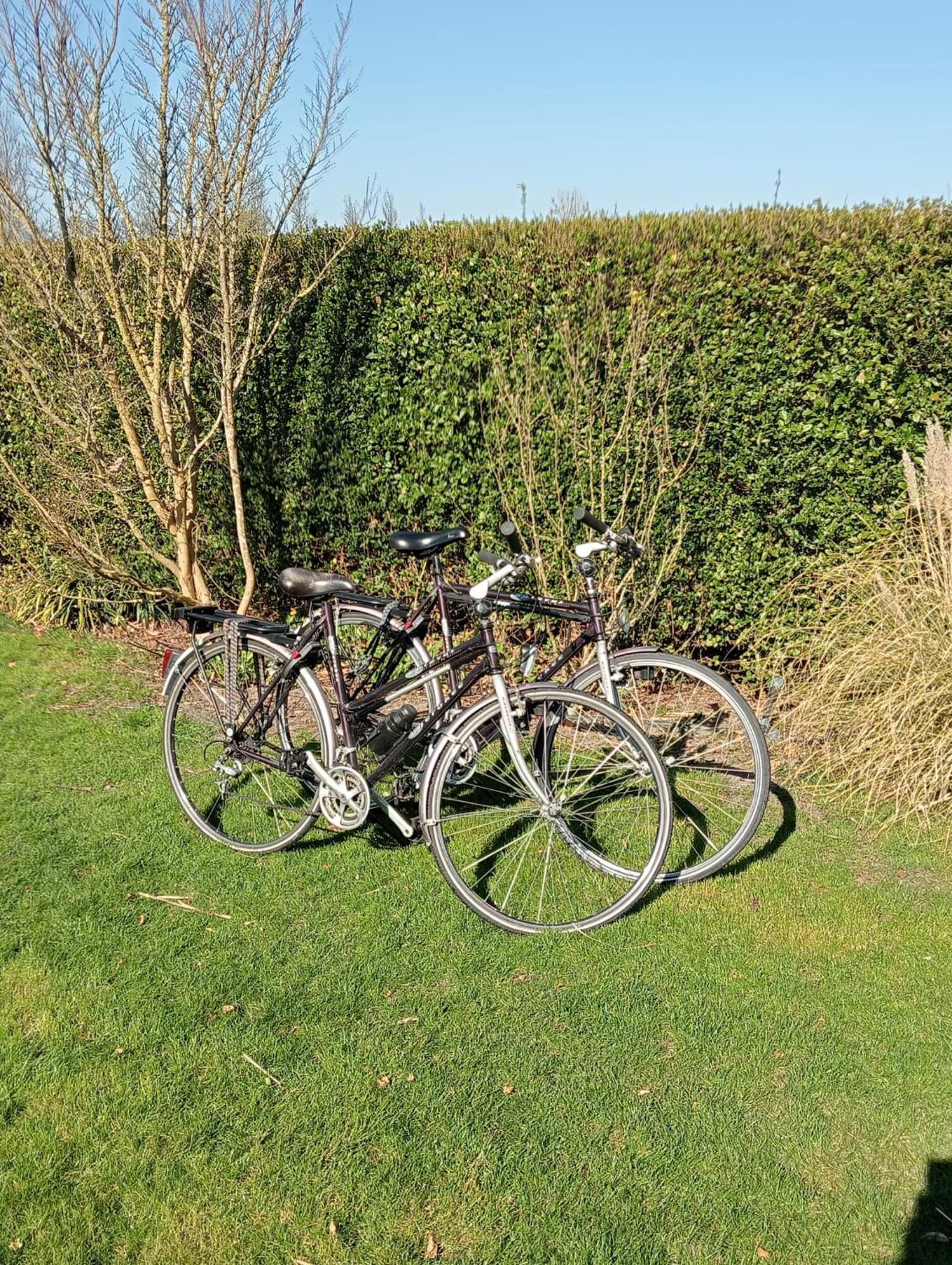 Kota Wadway Vila Spanbroek Exterior foto