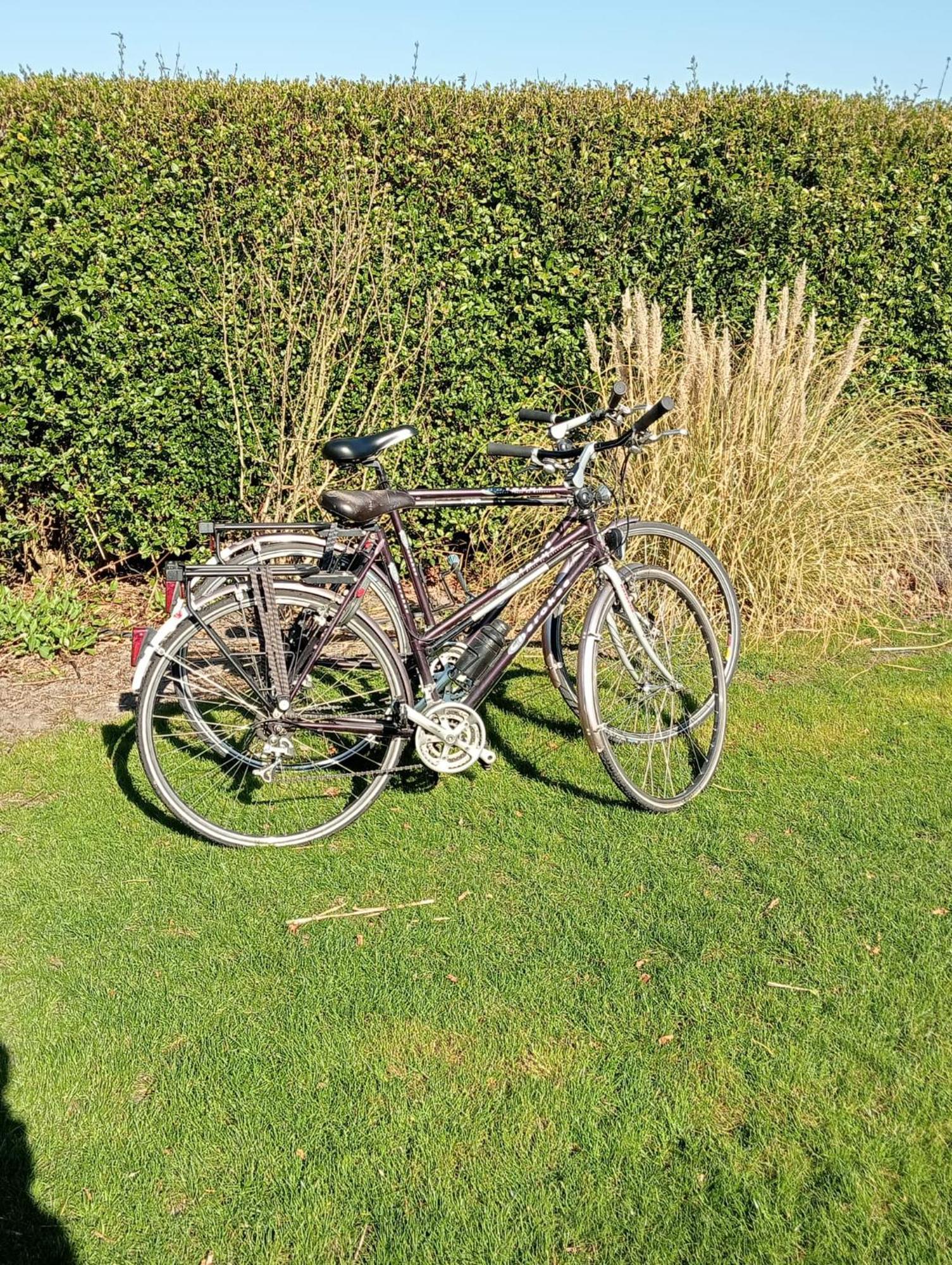 Kota Wadway Vila Spanbroek Exterior foto